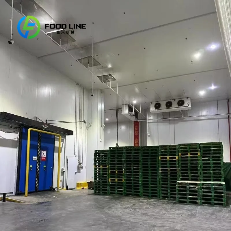 Customize Factory Customized Large Cold Room Storage Walk in Freezer Blast Freezing Room for Meat Fish Fruit and Vegetable