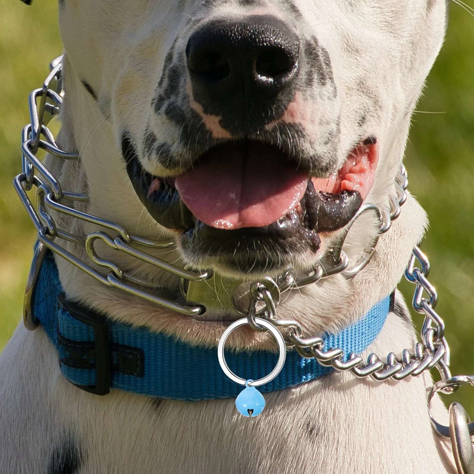 

60Pcs Colorful Bells Pet Hanging Accessories Crafted Delicate Bells for Collar Making DIY Keychain Wind Chimes Ornament Supplies