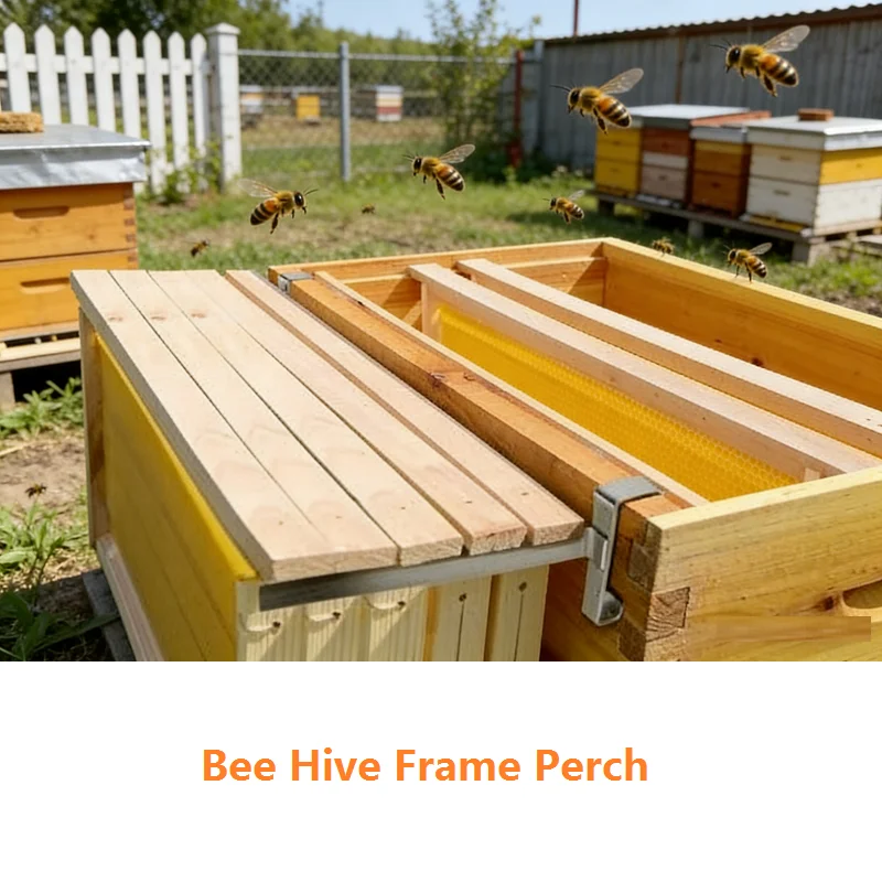 Bee Hive Frame Perch 1/3 Pair Stainless Steel Beehive Frame Holder Bee Hive Stand Beehive Frame Support Bracket Beekeeping Tools