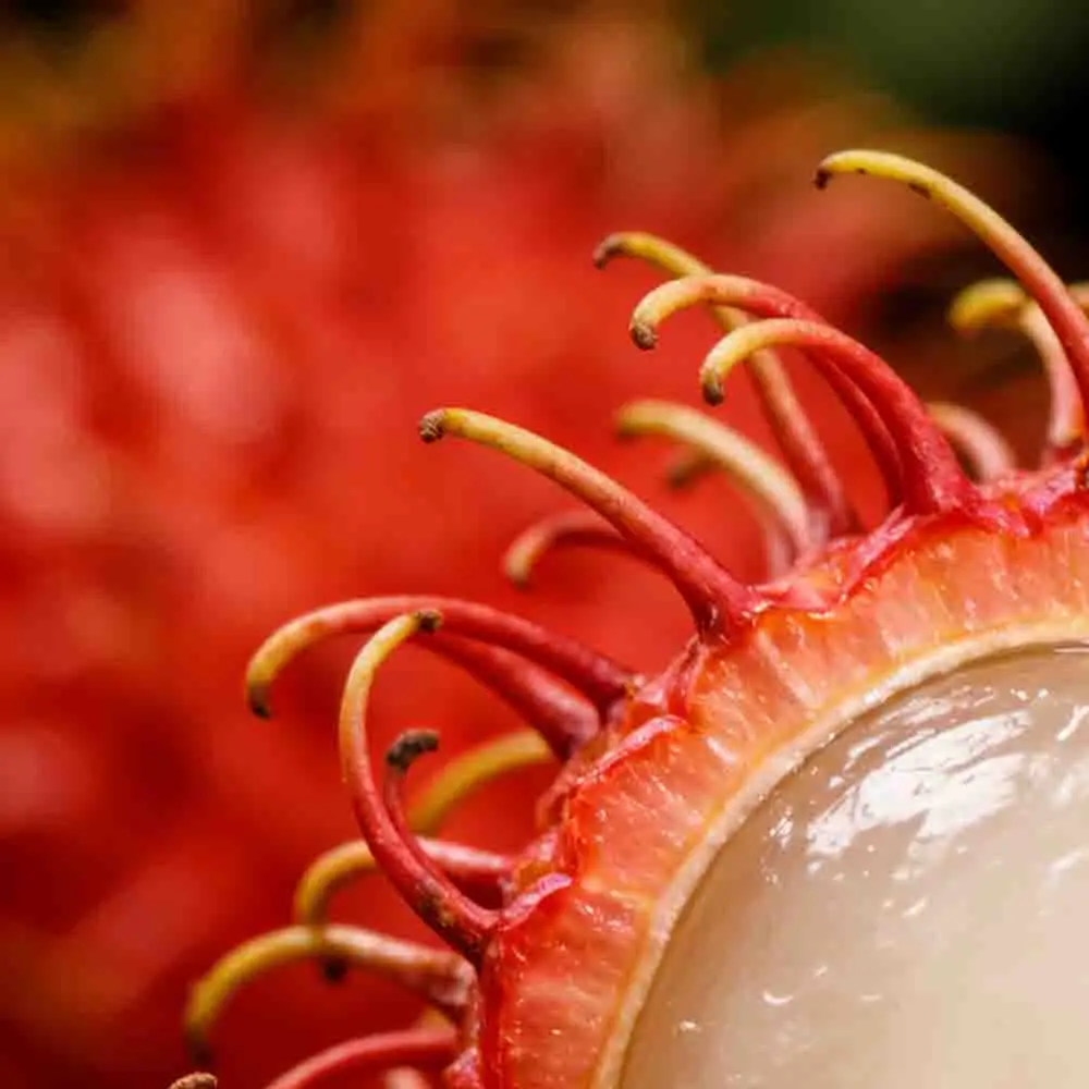 

JHEMCU GF30F405 Flight Controller ICM42688P With 90A/ 110A ESC 3-8S Lipo for FPV Long Range Drone RC Tools