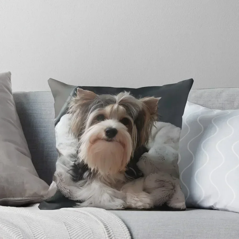 

Biewer Throw Pillow ornamental pillows for living room Sitting Cushion Luxury Cushion Cover sleeping pillows pillow