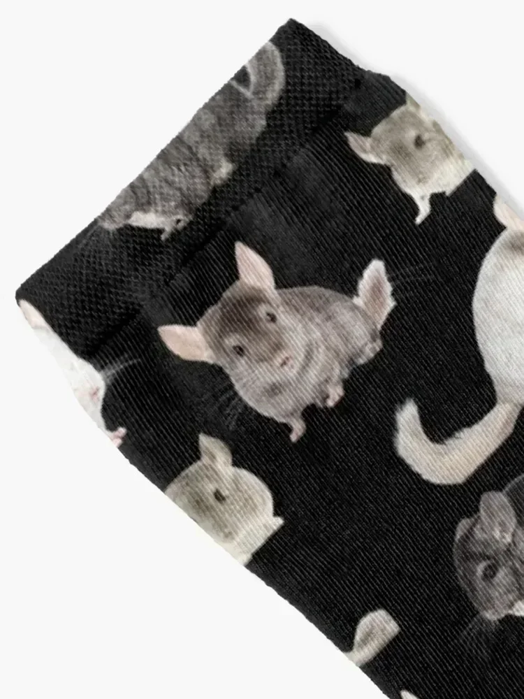 Chinchilla Sticker Pack Socks sports stockings Argentina anime Women's Socks Men's