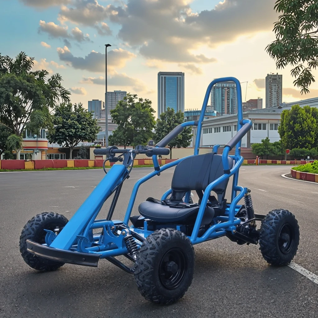 

Одноместный электрический багги 2000 Вт, 48 В, гоночный дрифт, картинг с дисковым тормозом с литиевой батареей для развлечений на открытом воздухе