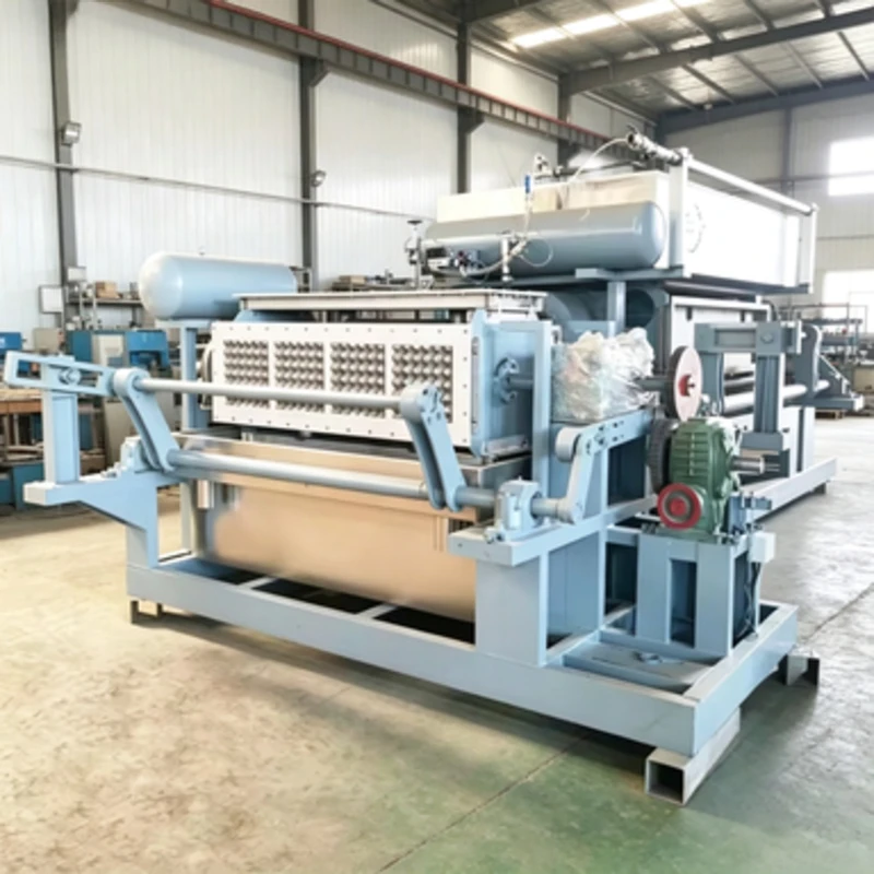 Industrial Egg Tray Production Line Fully Automatic High Capacity Making Equipment