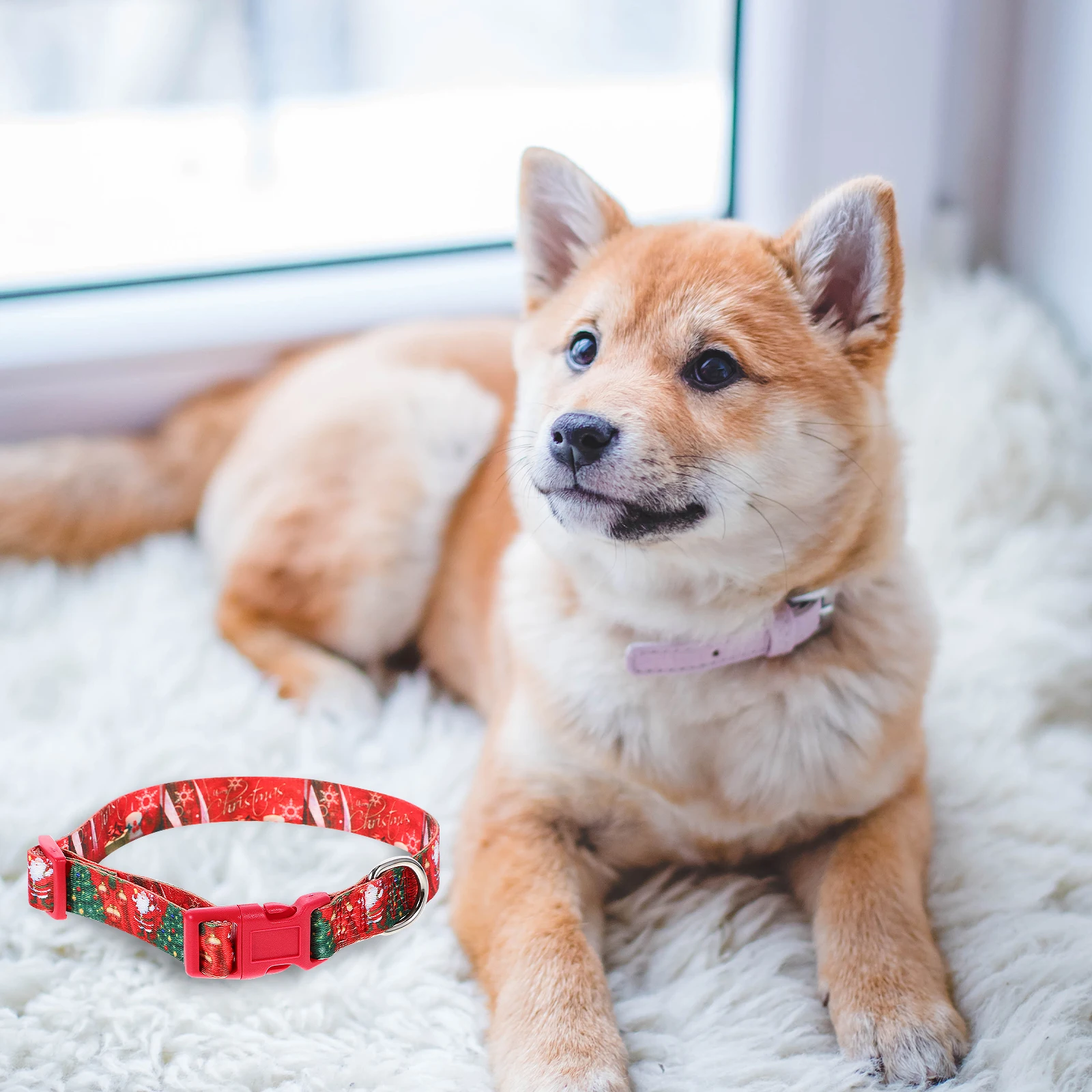 

Adjustable Collar for Christmas Dog Necklace Puppy Collars Holiday Party Puppies