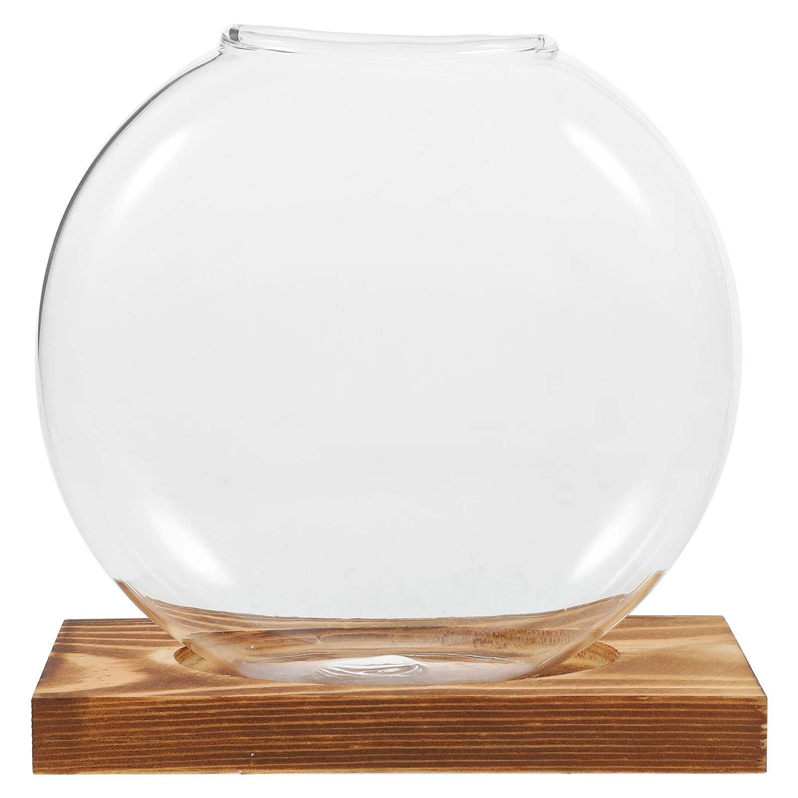 

Hydroponic Glass Vase Transparent Indoor Plants Propagation Station Wooden Base Desktop Window Display Terrarium