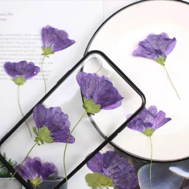 

60pcs Pressed Side Dried Malva sinensis Cavan Flower Herbarium Resin Epoxy Jewelry Card Bookmark Frame Phone Case Makeup Lamp