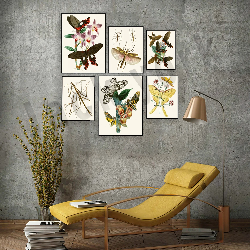 18th century butterfly poster, cicada, swallowtail, luna moth, moth, metamorphosis butterfly yi's, life cycle insect print