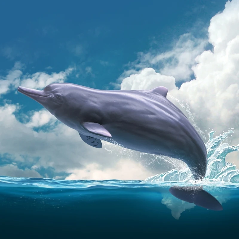 Model 17 Chinese White Dolphin Model Xibao Marine Mammal Animal Figure Collection Realistic Scene Decoration Birthday Gift
