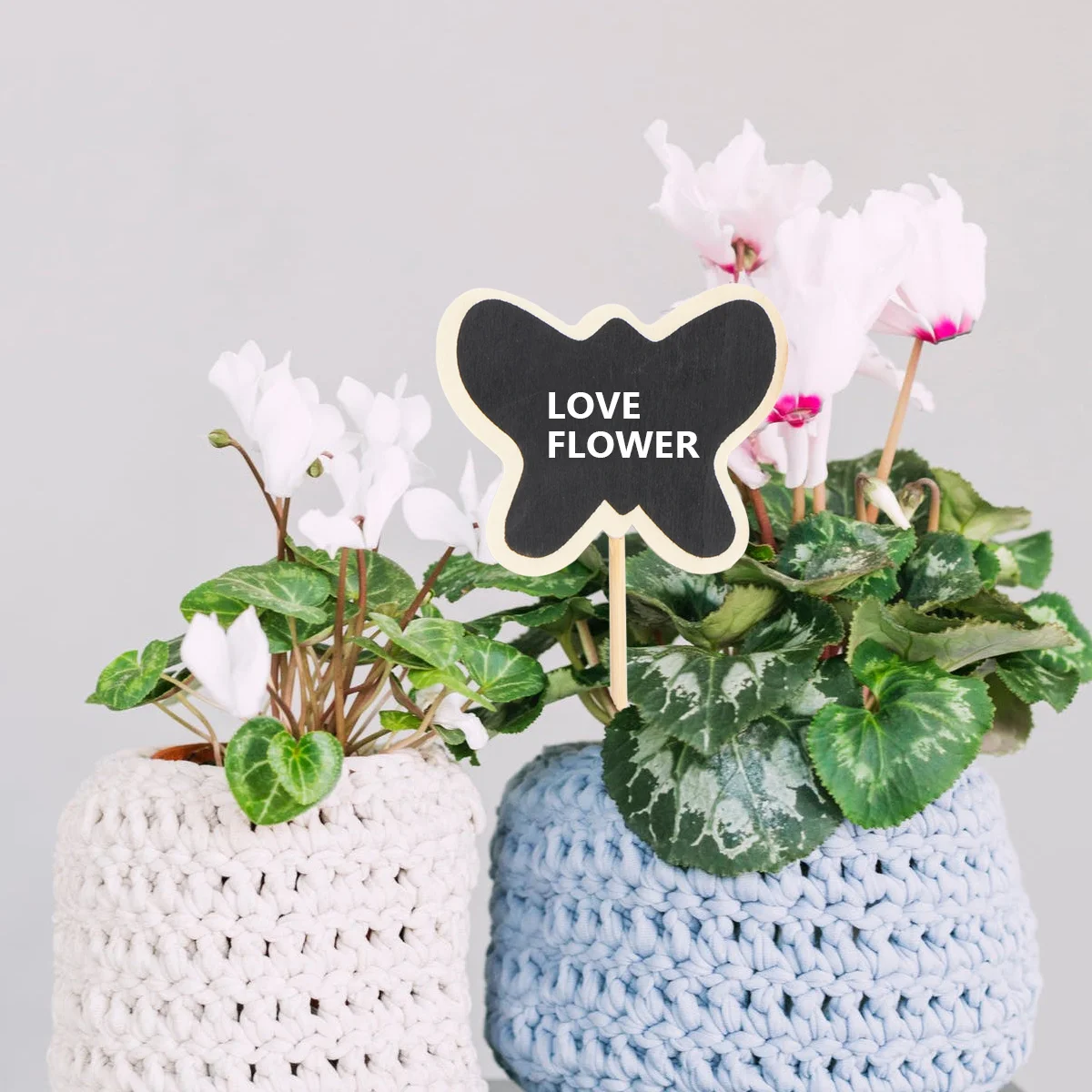 20 قطعة السبورة الخشبية القبعات العالية حديقة علامات النبات العلامات الإبداعية رسالة لوحات الزفاف ديكور السبورة الصغيرة القبعات العالية #5