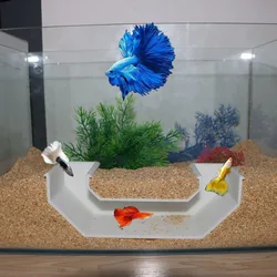 Underground Cave With Natural Appearance | Aquarium Cave | Aquatic Hideout | Bottom Dweller Tunne