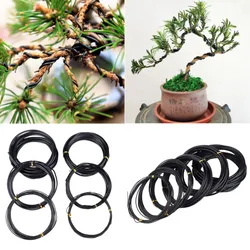 Total 5m (Black) Bonsai Wire Anodized Aluminum Bonsai Training Wire, 5 Sizes (1.0mm, 1.5mm, 2.0mm, 2.5mm, 3mm) For Plant Shapes