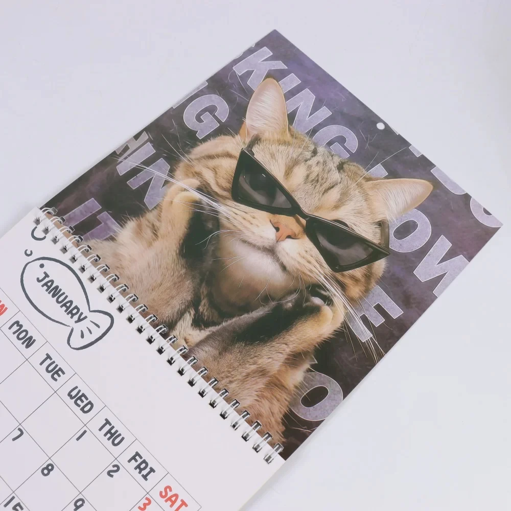 Calendario da parete con gatto divertente Calendario da parete 2026 12 Immagini di pianificazione mensile Gag Regali per gli amanti dei gatti Famiglia Amici