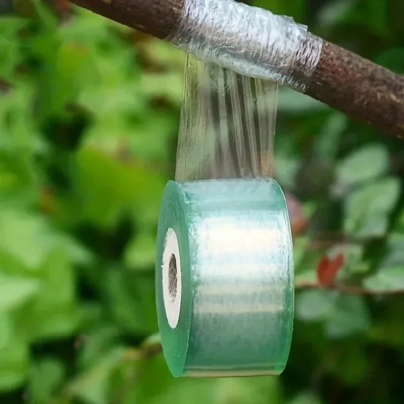 Picture 4: Self-adhesive PE Grafting Tape Film Stretchable Garden Tree Plants Seedlings Vine Tomato Grafting Accessories