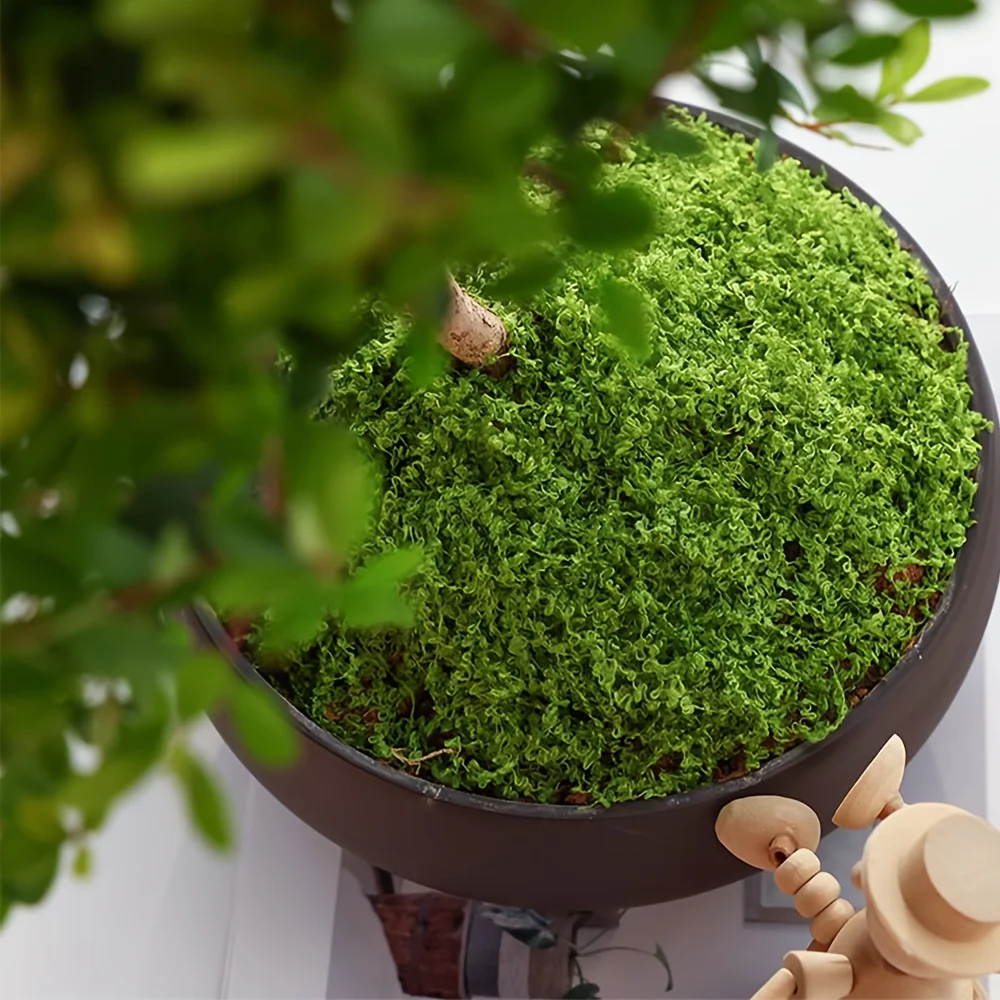 1 confezione di muschio finto - Terrarium Moss Art recensione e prezzo
