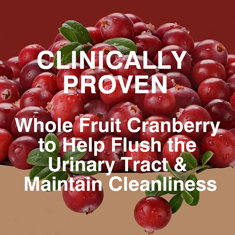 Cranberry - Supports Urinary & Immune Health, Bladder Control, and Promotes Healthy Kidney Function