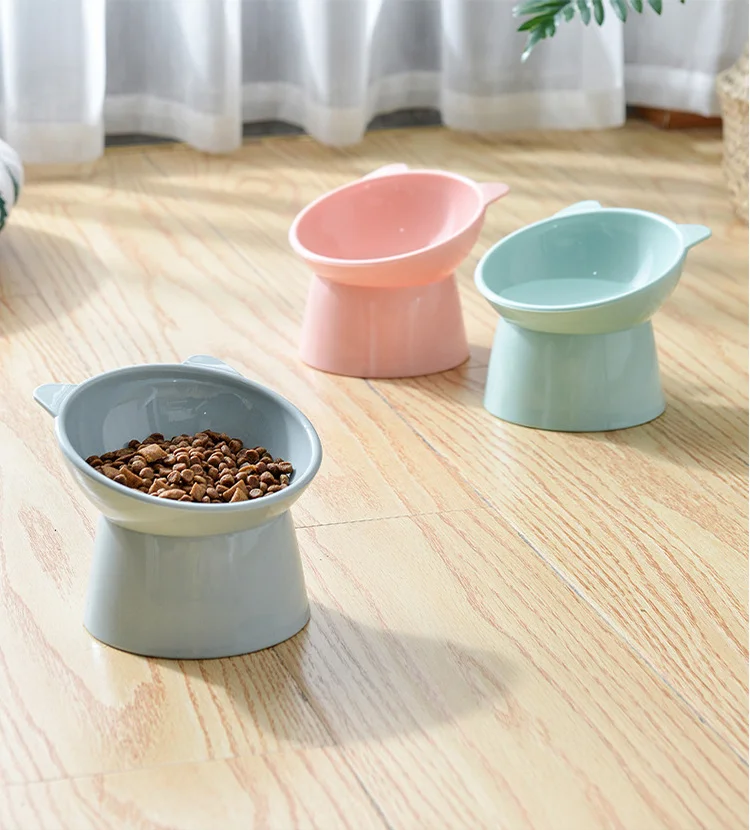 Tilted Pet Feeding Bowl 2