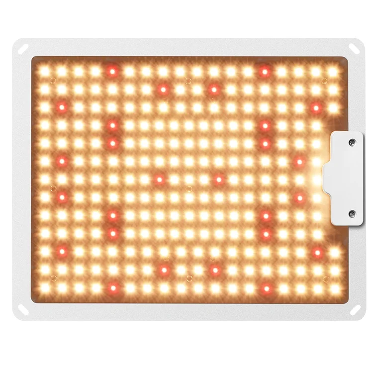 식물 재배용 COB LED 성장 조명, CXB3590, 3500K, 핫 세일