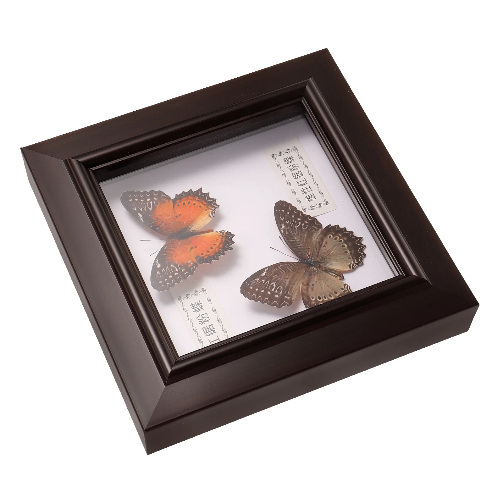 Butterfly Photo Frame Open Bezels for Resin Jewelry Making Picture Hanging Specimens Framed Wooden Real