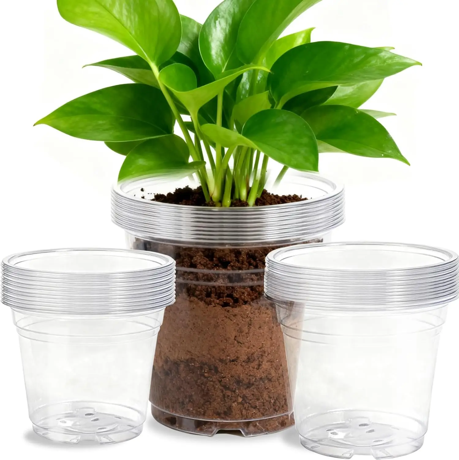 

45 Pack 7/8/10 Inch Clear Nursery Pots with Drainage Holes,Higher Large Gallon Clear Plastic Pots for Plants,Plant Seedl