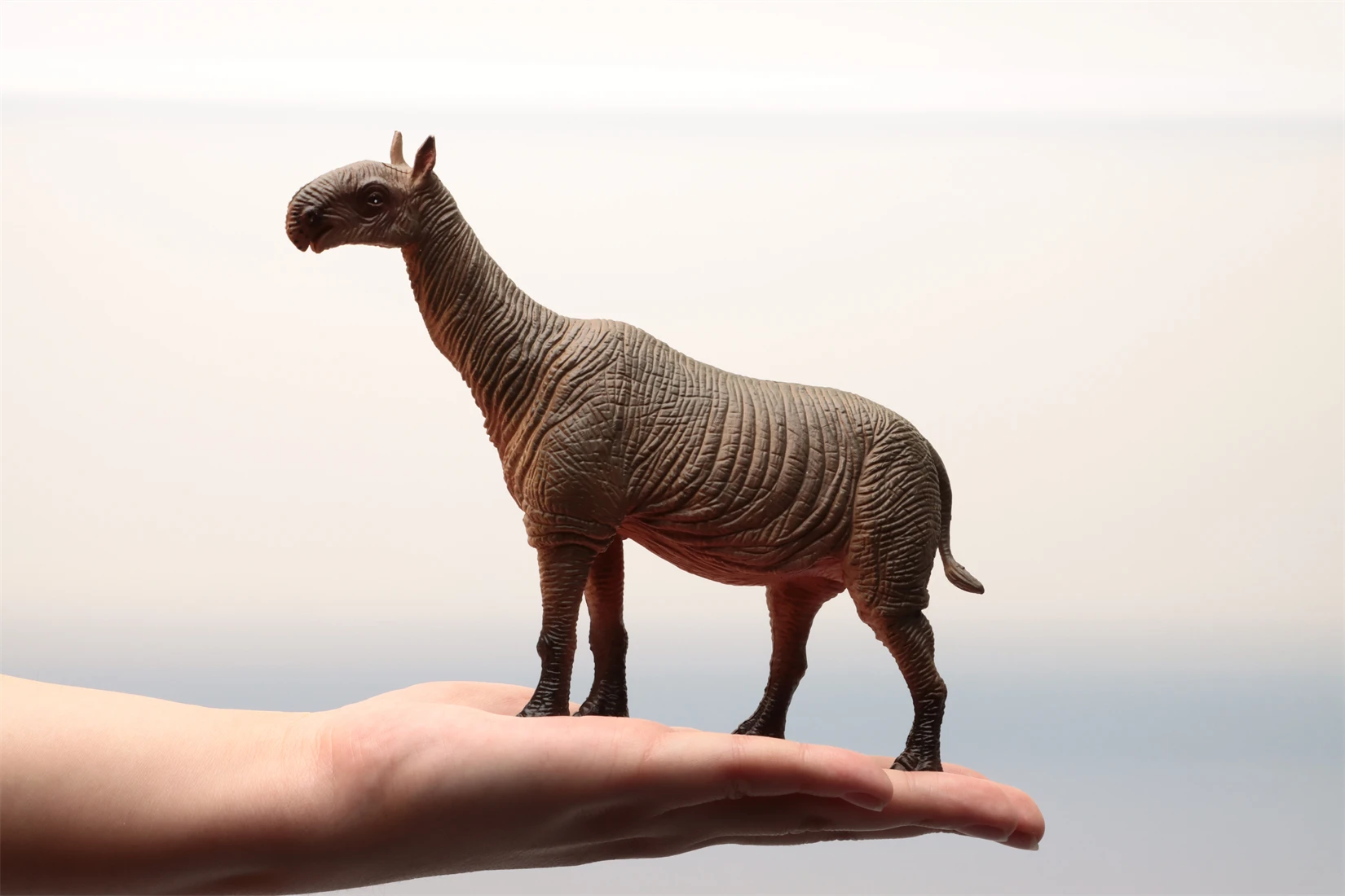Earth Story スタジオ Paraceratherium モデル先史時代の動物フィギュアコレクションシーンの装飾誕生日ギフトのおもちゃ
