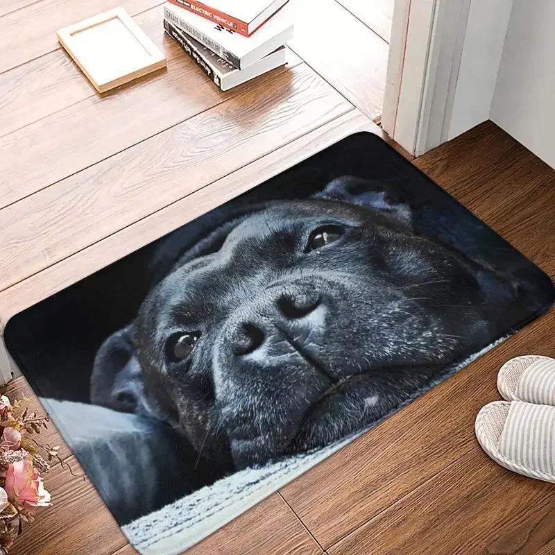 1PCStaffordshire Bull Terrier Doormat Anti-Slip Entrance Bathroom Kitchen Cute Dog Door Floor Mat Bedroom Balcony Carpet Rug