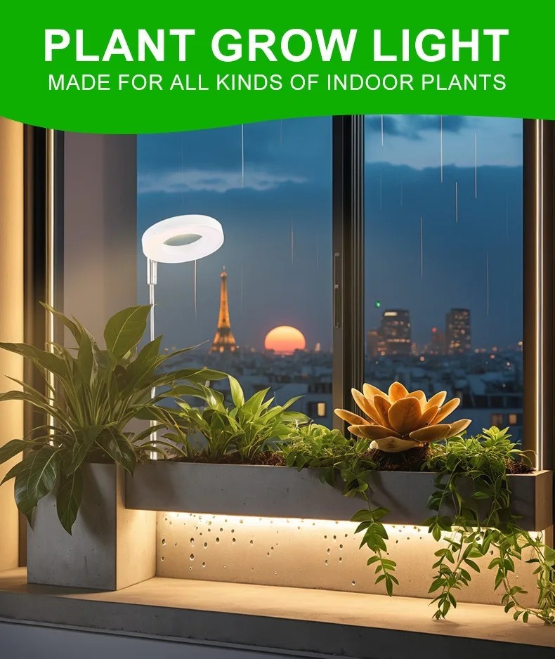 Angel Ring Succulent Red Blue Light Full Spectrum Plant Growth LED Light Adjustable Indoor Plant Lamp for Flowering