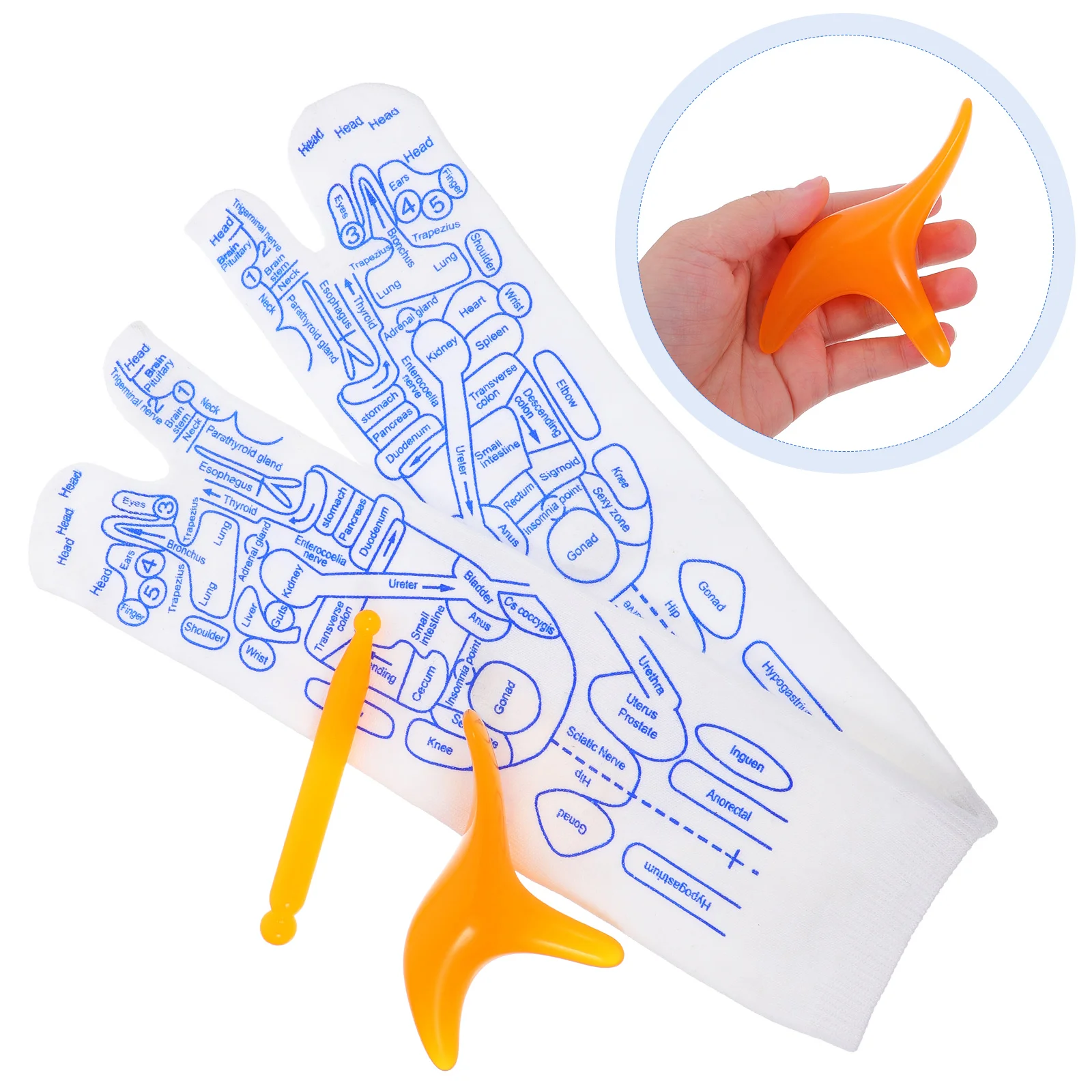 

Professional Reflex Zone Massage Foot Pressure Point Massager Tools Set Durable Stretchable Breathable Fabric Foot for Home