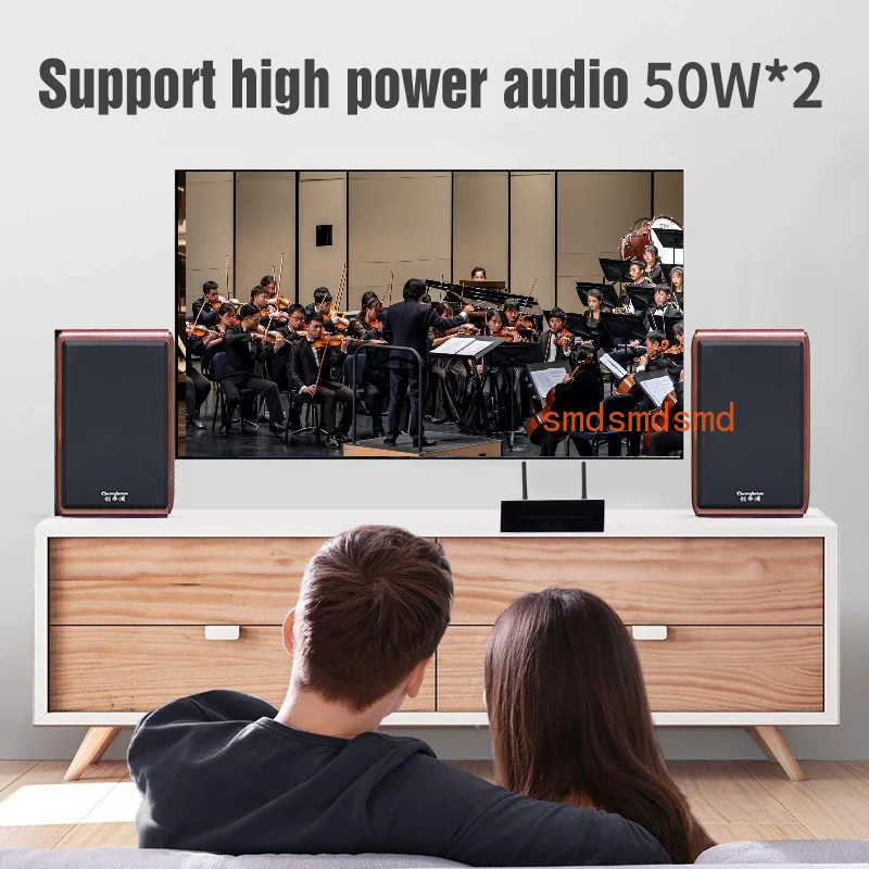 Wireless Multi-Room Streaming Amplifier Home WiFi and Bluetooth-compatible HiFi Stereo digital multiroom amplifier with App