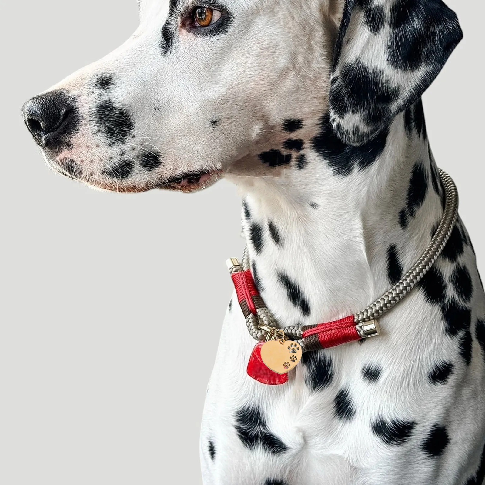 

10Pcs Heart Hollow Dog Tag Blank for Dogs Pet Name Tags Puppy Collar Charms Identification Engraving Pets Name Tags DIY