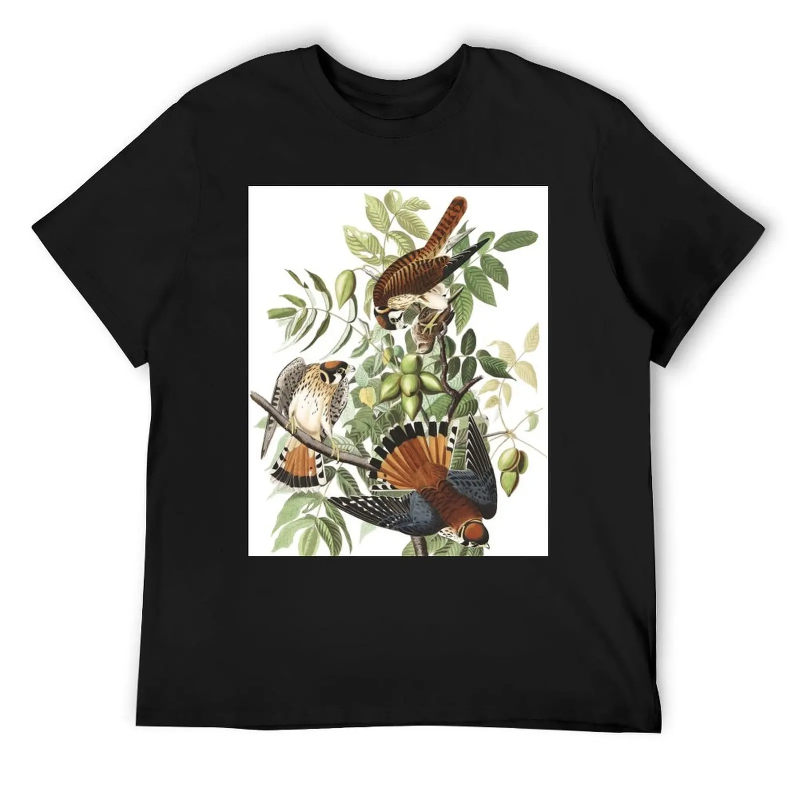 American Kestrel - John James Audubon T-Shirt