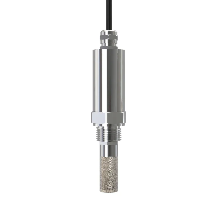 

OEM Industrial Dew Point Sensor Temperature Humidity Measurement Dew Point Transmitter G1/2 thread installation