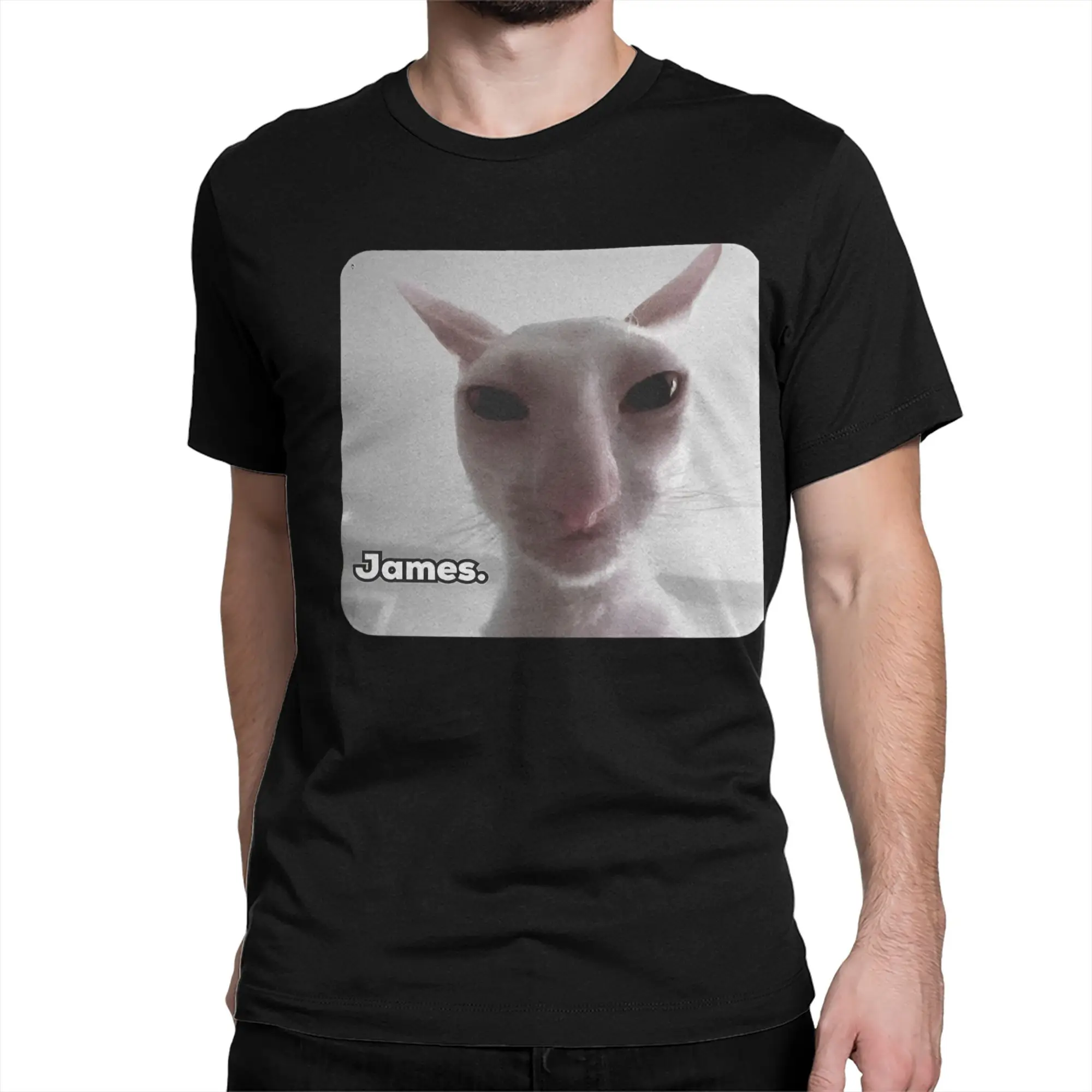 Funny James Cat Meme Pure Cotton T-Shirt For Man Summer Cute  Classic T Shirts Round Neck Harajuku Tee Shirt Oversized Loose