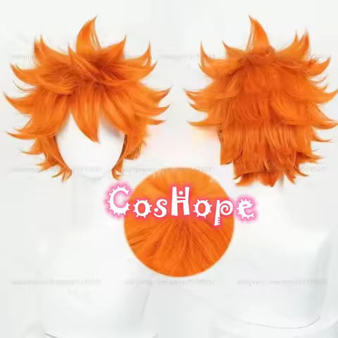 Hinata Shoyo Cosplay Wig 26cm Short Orange Wig Cosplay Anime Cosplay Wigs Heat Resistant Synthetic Wigs for Costume