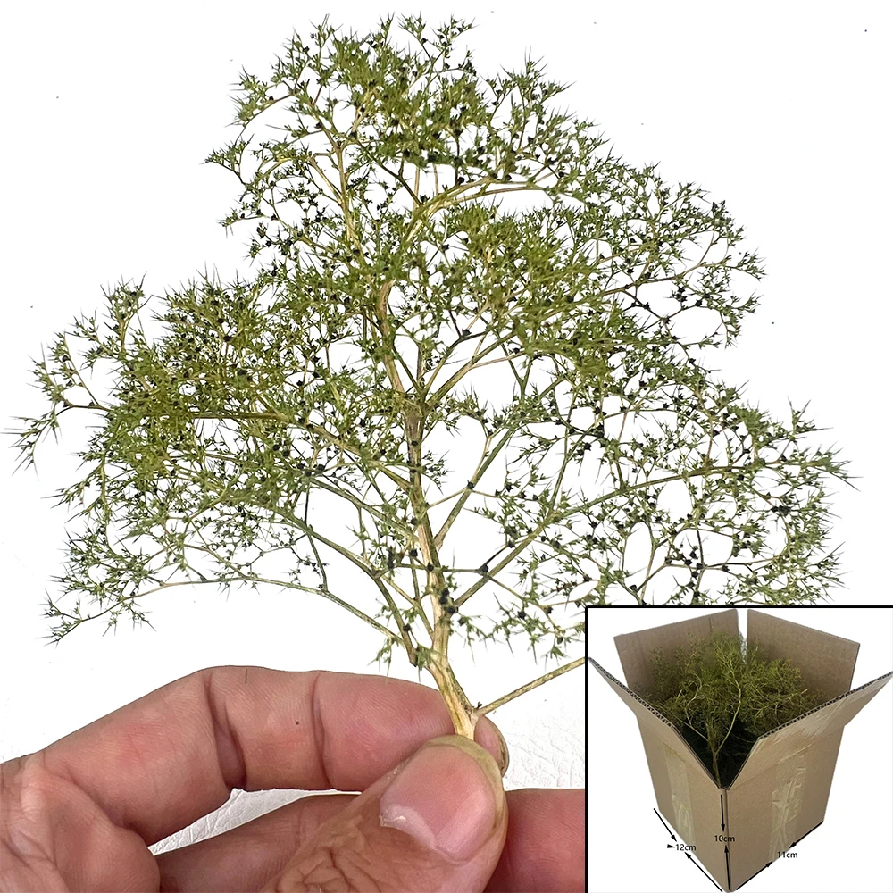Scale Miniature Model foam Tree, sea trees For Architectural building model Diorama Models,HO N train railway landscape layout