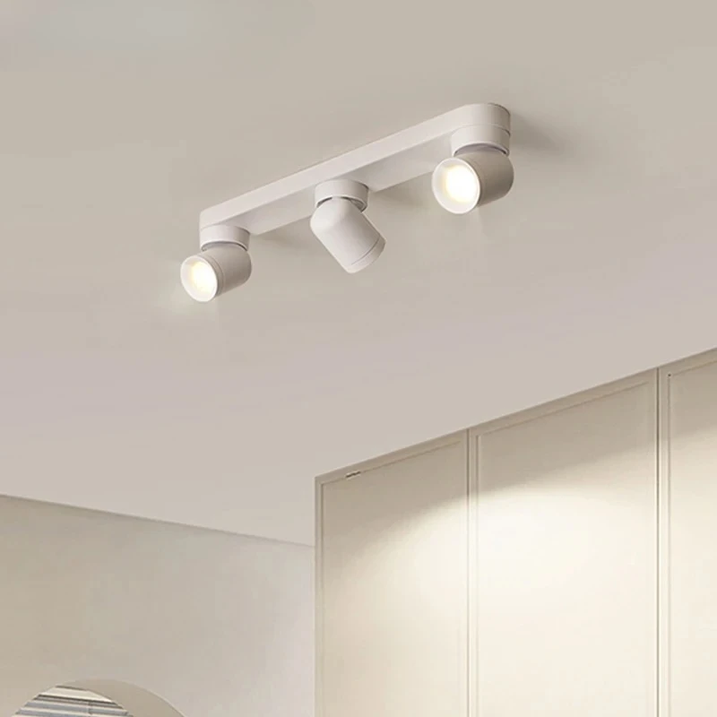 Nordic Dual Head Triple Head Ceiling Light with Adjustable Angle Rotating LED Spotlight for Dressing Room Foyer Exposed Lighting