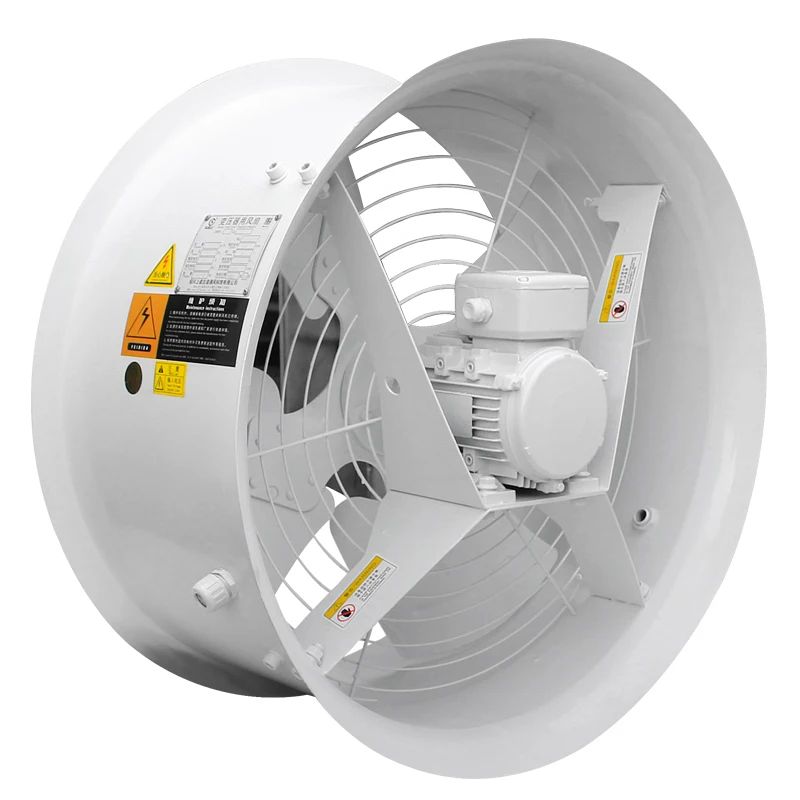 CFZ/DBF2 Transforme…