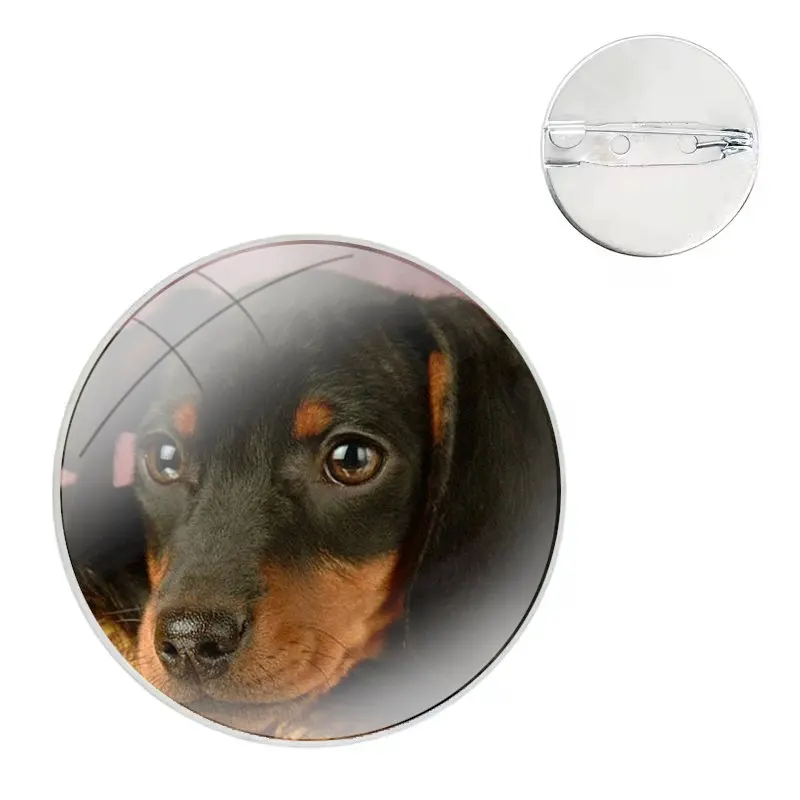 Dachshund Teckel Dackel Dog Pins Badge Metal Brooches For Clothes Backpack Decoration gift