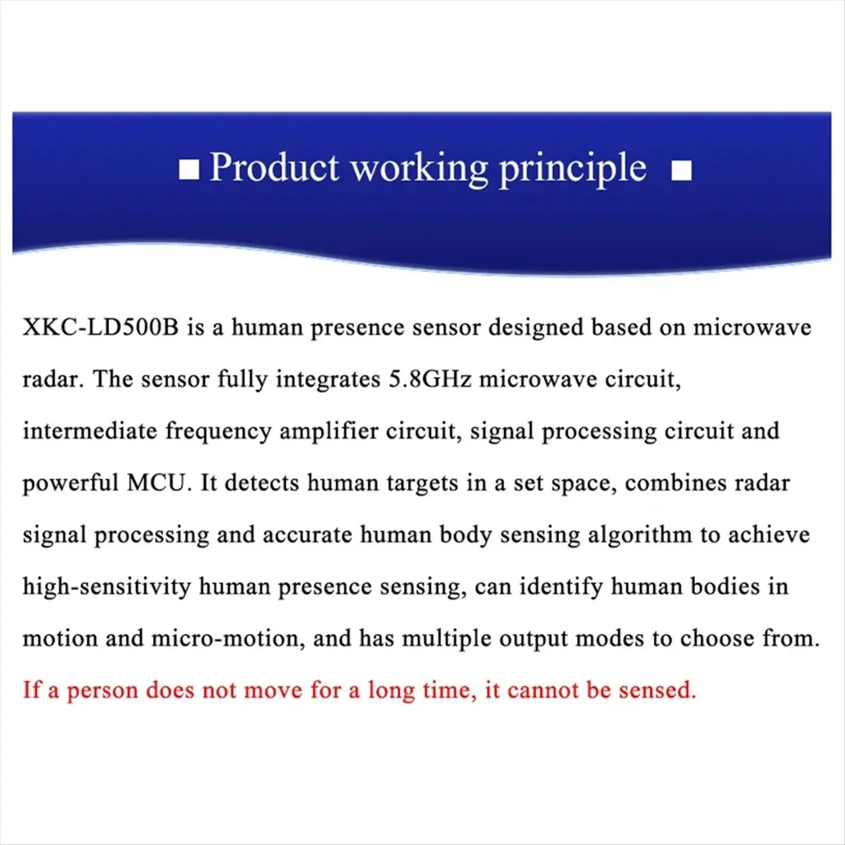 Punctual- New XKC-L…