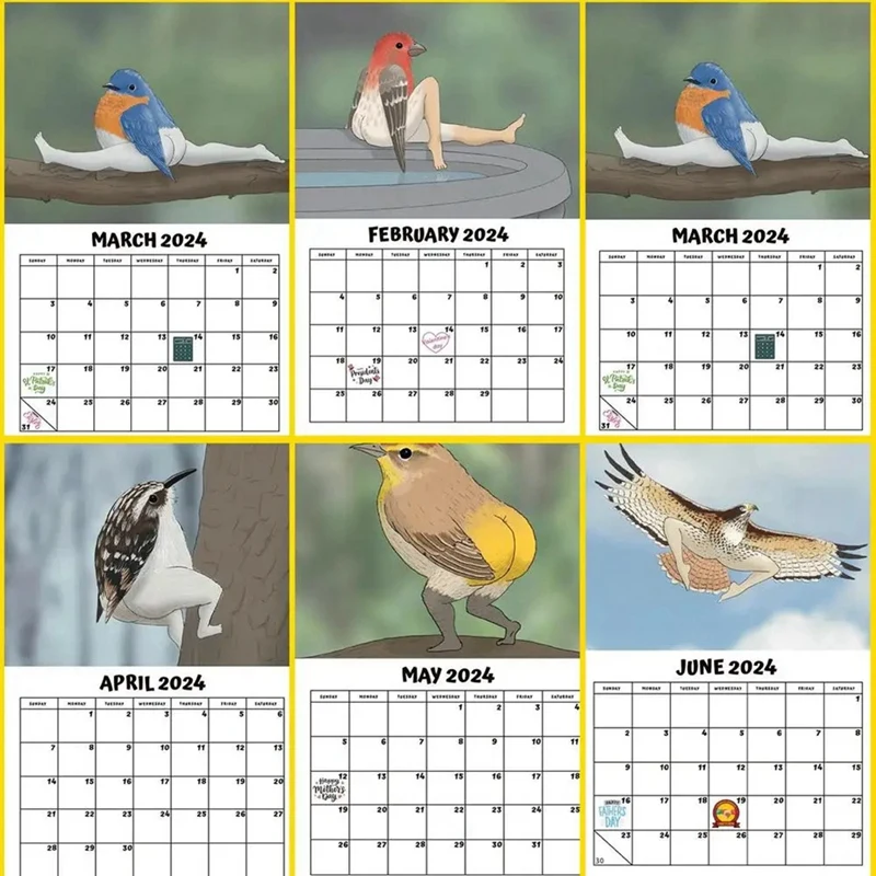 Desk Calendar Set Kit 2024 Calendar Kit Of Extremely Accurate Birds Cartoon Standing Flipdesktop Calendar Daily Planning Monthly