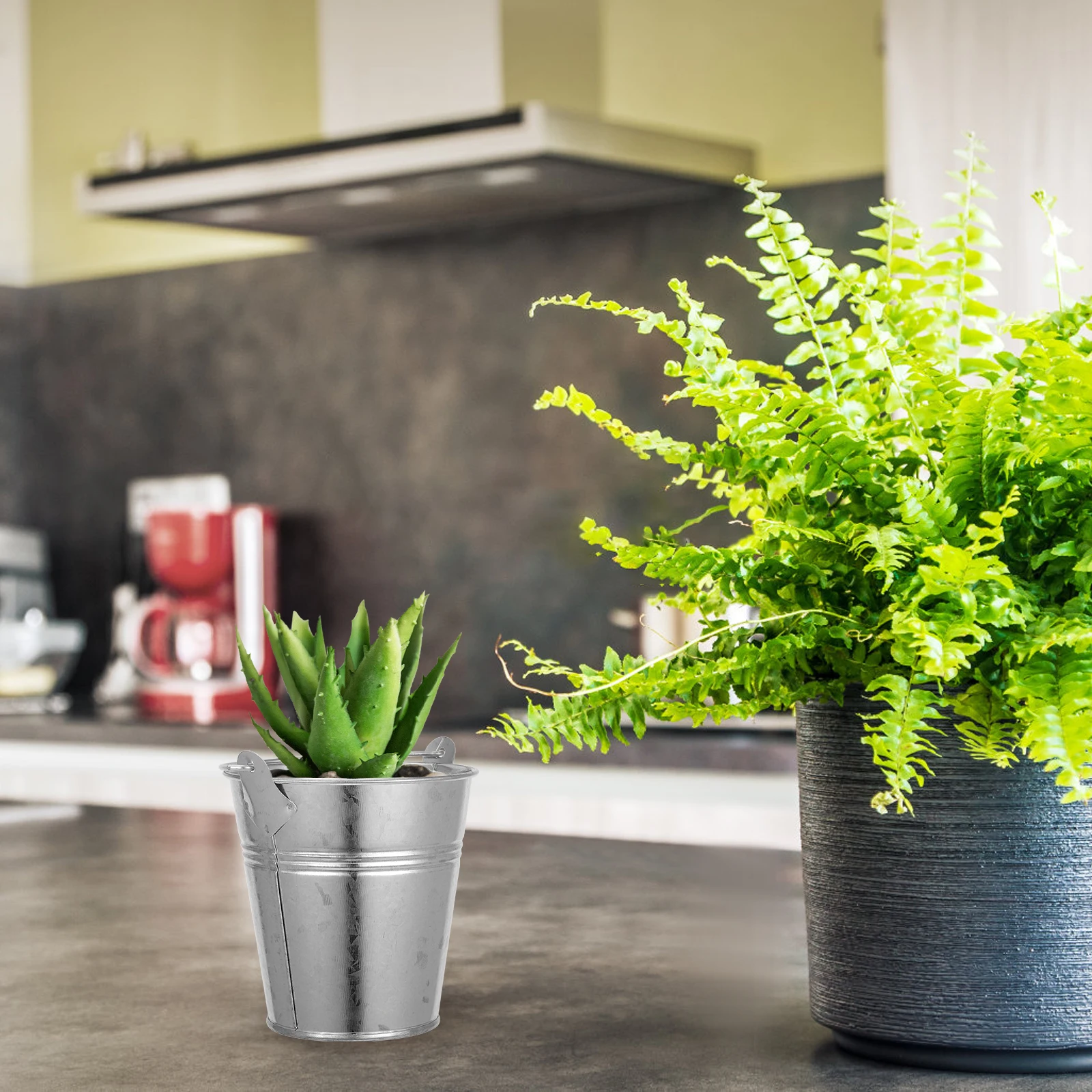 

Creative Mini Iron Bucket Metal Storage for Flowers Food Home Garden Strong Sturdy Pail Small Household Container