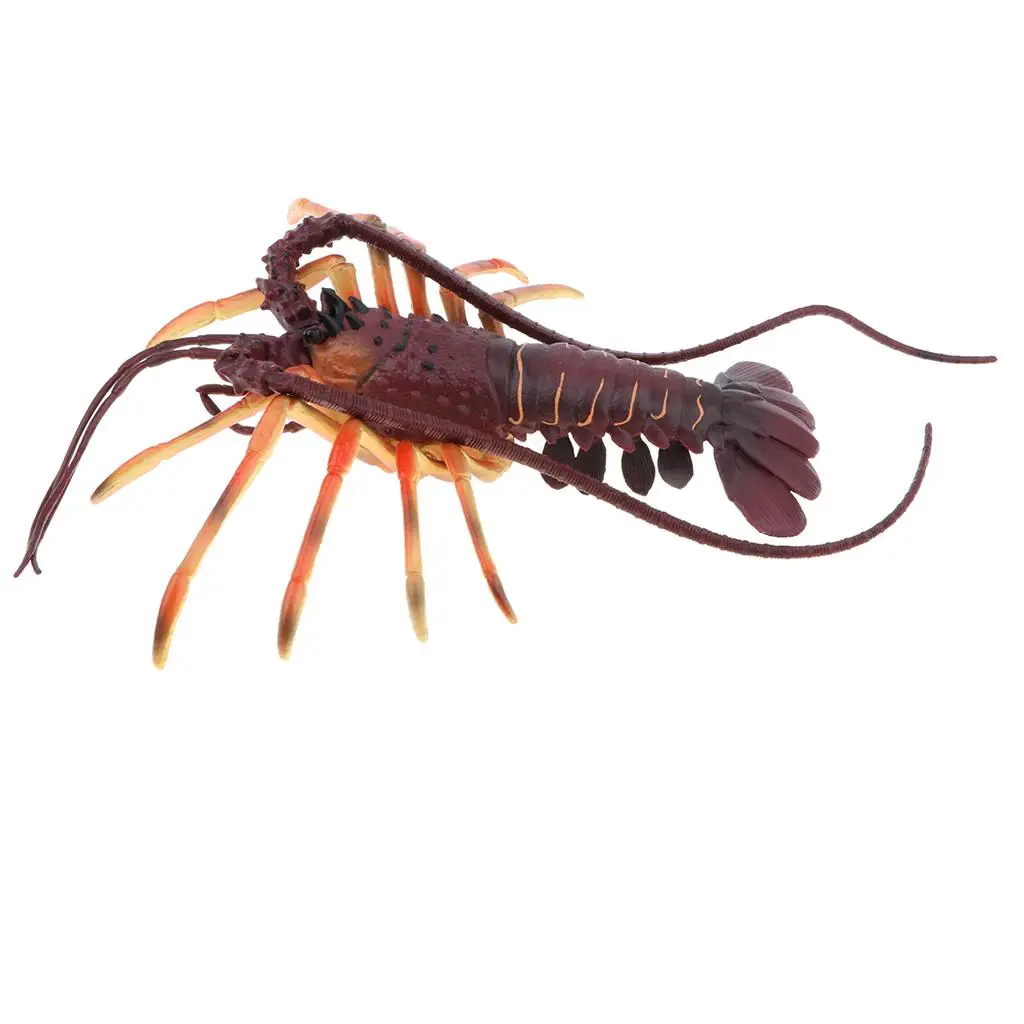 Spiny Lobster Action Figure, Model Figurine Kids Learning Toy Gift, Home Decor