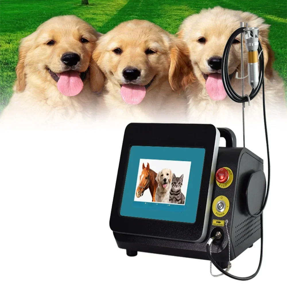 Veterinary Physiotherapy Equipment For Dog/cat/horse/pet Animal Wound Healing 980nm