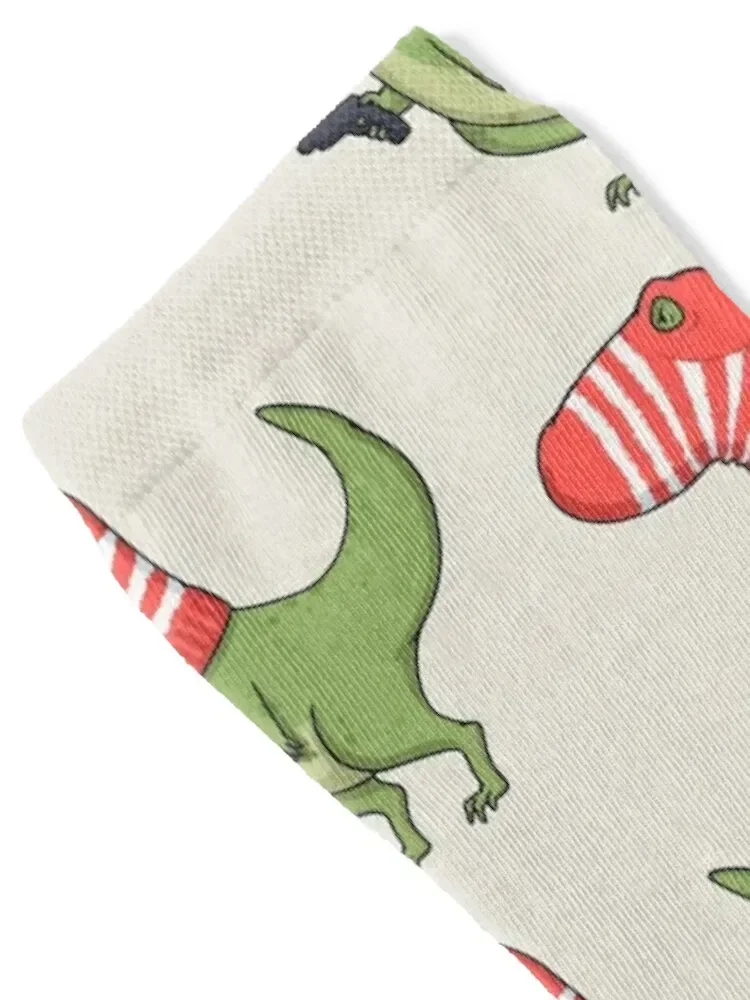 Dangerous Dinosaur Funny Dinosaur Design Socks Run Novelties Men's Socks Women's