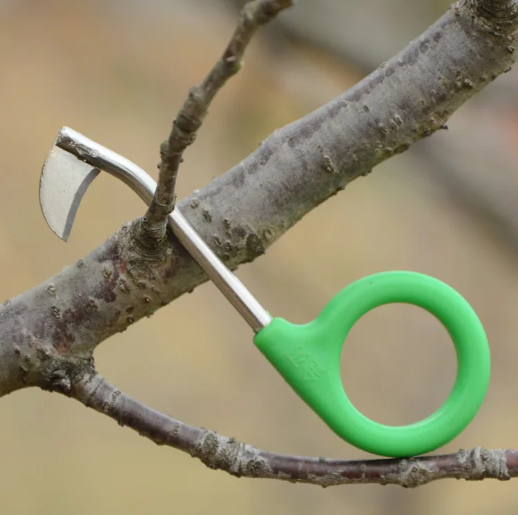 Coupe-aboiement en anneau de manganèse, ciseaux, couteau de ceinture, outils d\'élagage, arbre fruitier de jardin, raisin