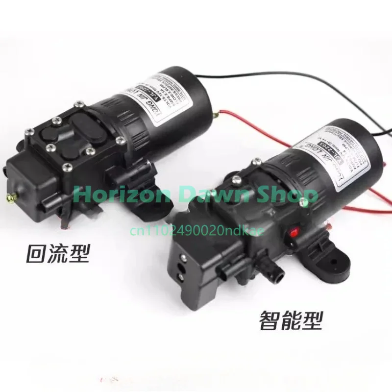 2203 Electric Sprayer Water Pump 12V Diaphragm Pump Knapsack Accessories Return Pump Smart
