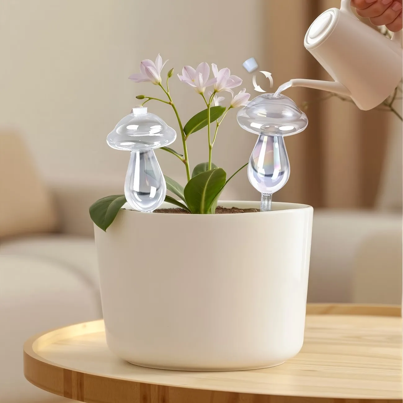 #23 Latest Watering Globes Offers