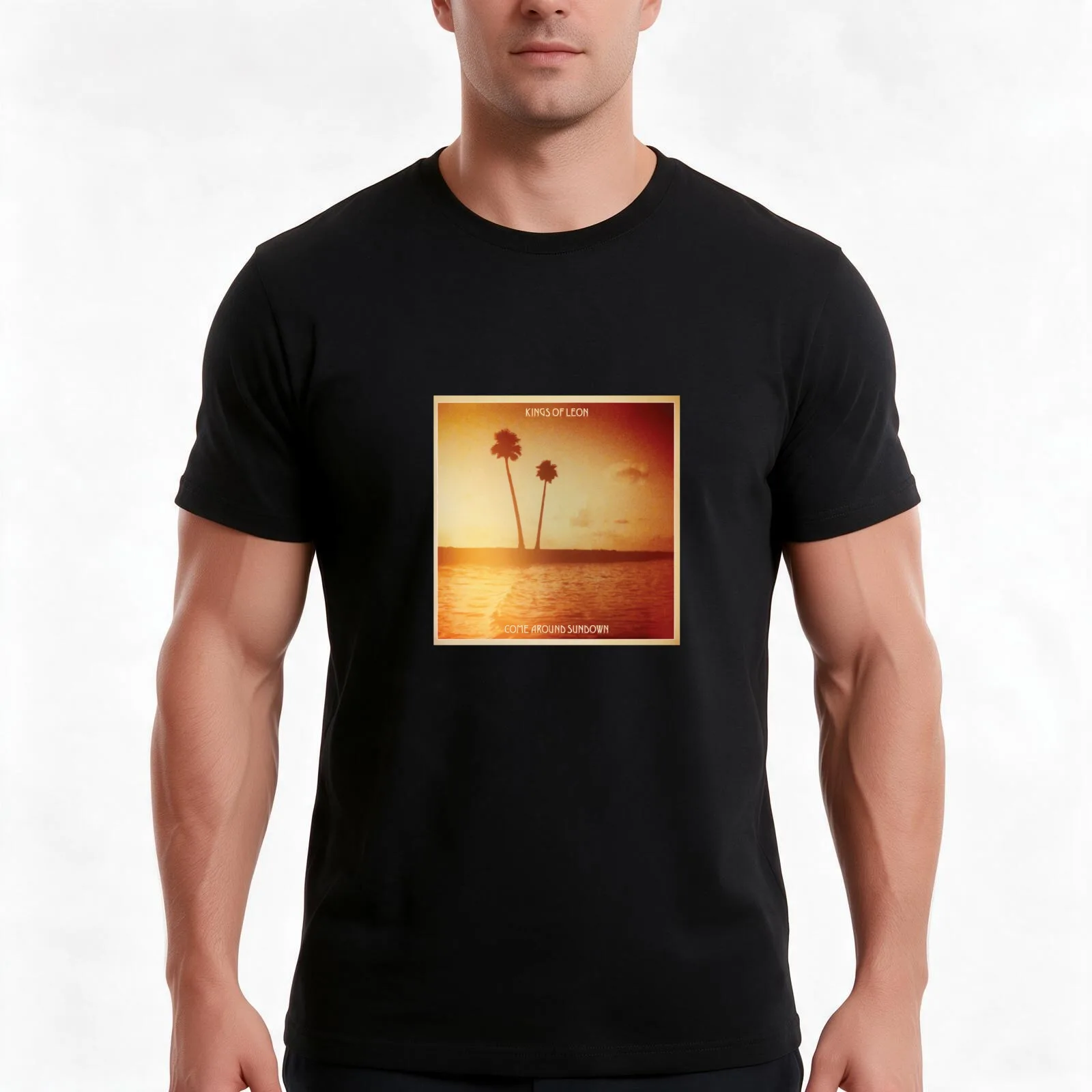 Kings of leon aha shake heartbreak come around sundown T-Shirt, Summer Casual Cotton Tee, Oversized Streetwear Tops, 100% Cotton