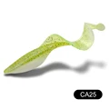 CA25