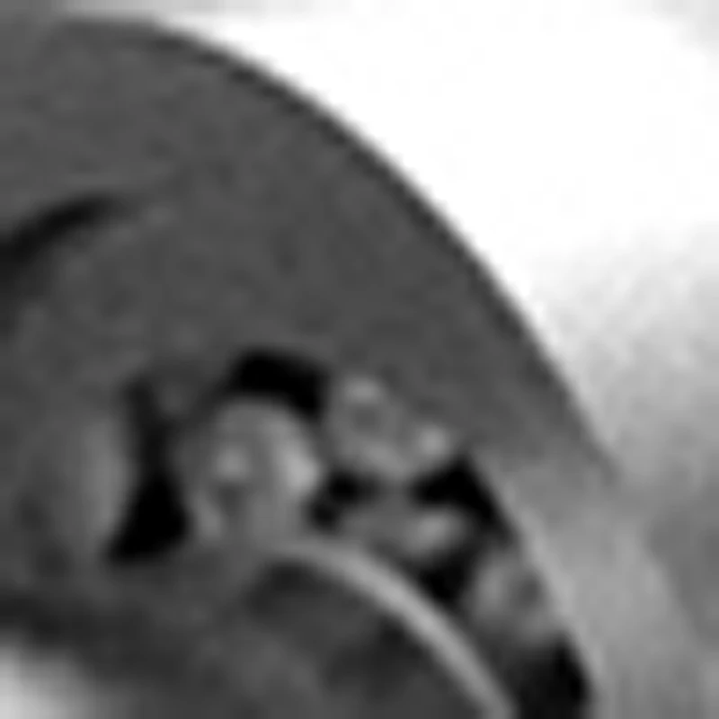 Electric Slicer Mea…